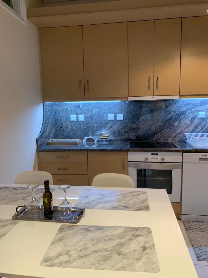 New Luxury Apartment In Central Suburb Of Αθήνα Εξωτερικό φωτογραφία